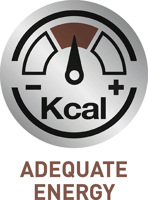 ADEQUATE ENERGY