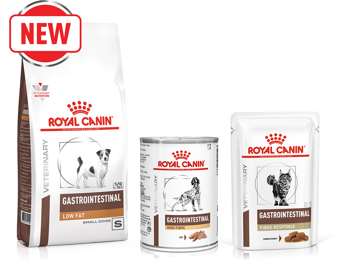 Gastrointestinal issues