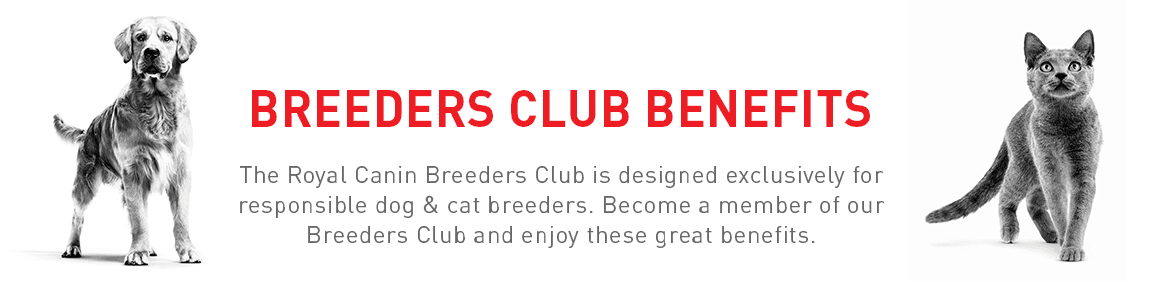 BREEDERS CLUB BENEFITS - The Royal Canin Breeders Club is designed exclusively for responsible dog & cat breeders. Become a member of our Breeders Club and enjoy these great benefits.