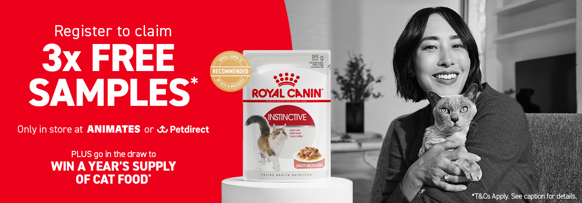 Royal Canin Kitten
